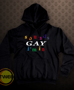 SOUND gay i'm in hoodie